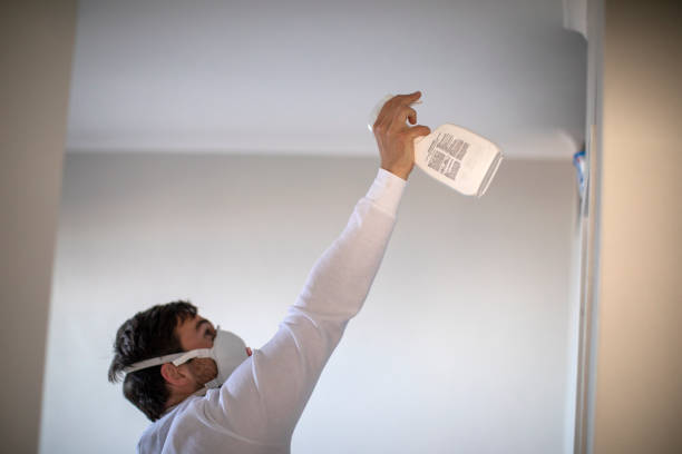 Best Mold Removal Process  in Albany, LA