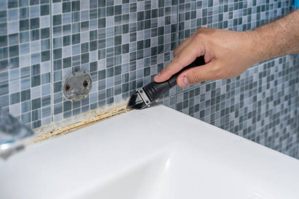 Best Home Mold Removal  in Albany, LA