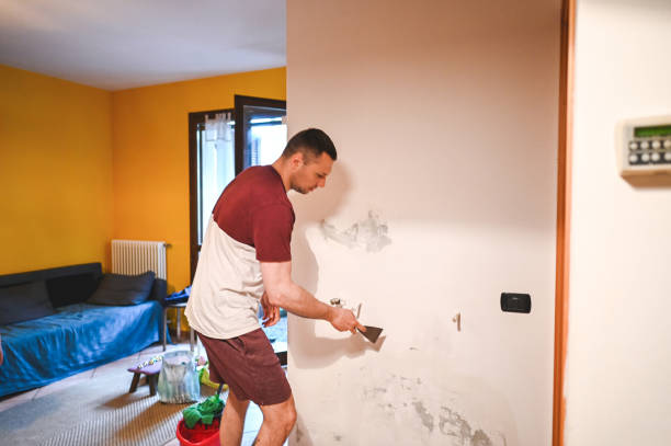 Best Mold Inspection  in Albany, LA